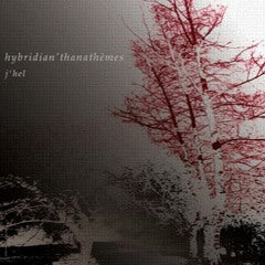Pochette de l'album Hybridian'thanathèmes de j'hel, électro expérimentale